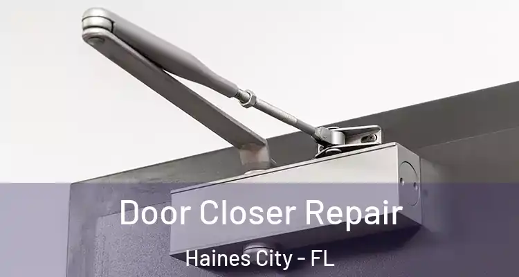  Door Closer Repair Haines City - FL
