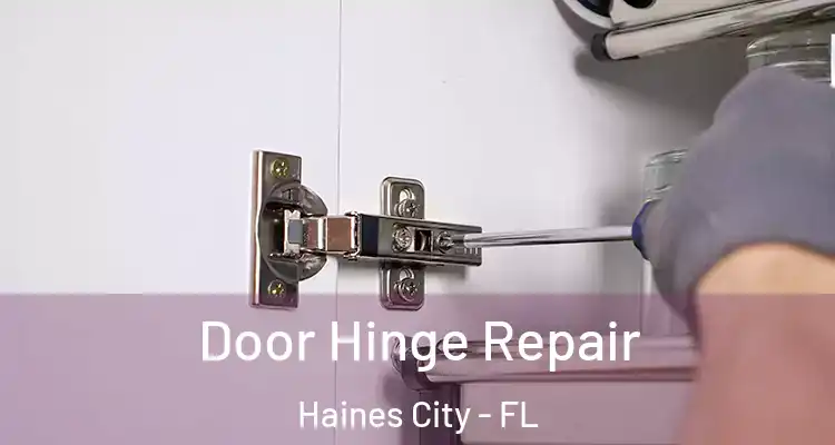 Door Hinge Repair Haines City - FL