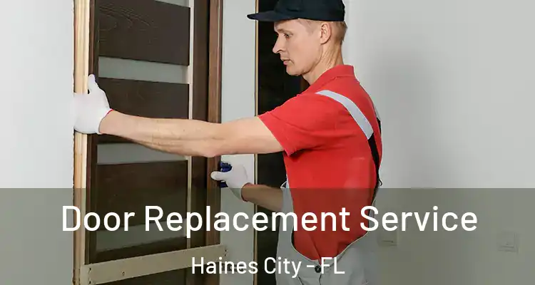  Door Replacement Service Haines City - FL