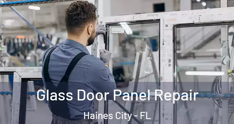  Glass Door Panel Repair Haines City - FL