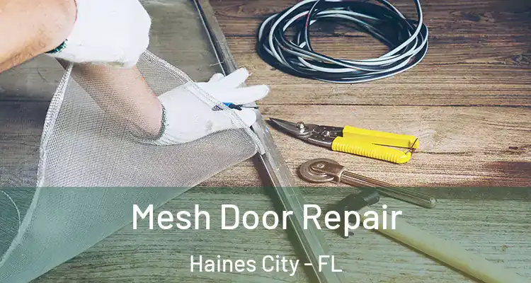  Mesh Door Repair Haines City - FL