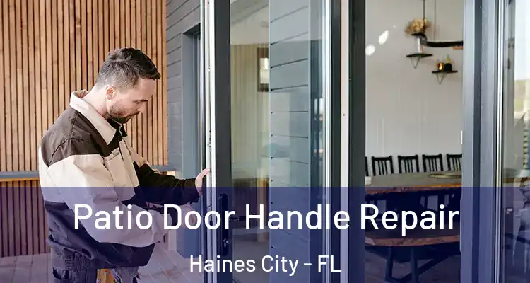  Patio Door Handle Repair Haines City - FL