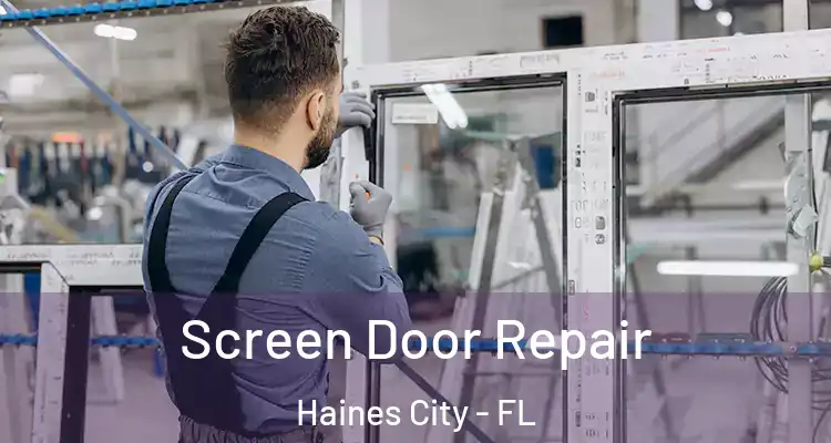  Screen Door Repair Haines City - FL