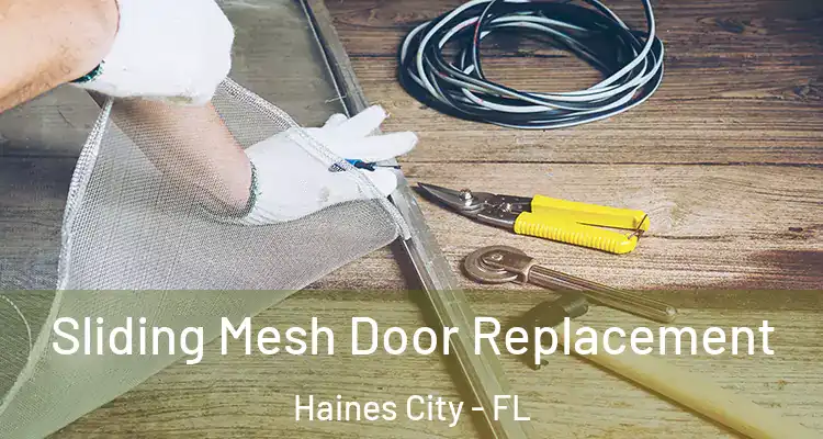  Sliding Mesh Door Replacement Haines City - FL